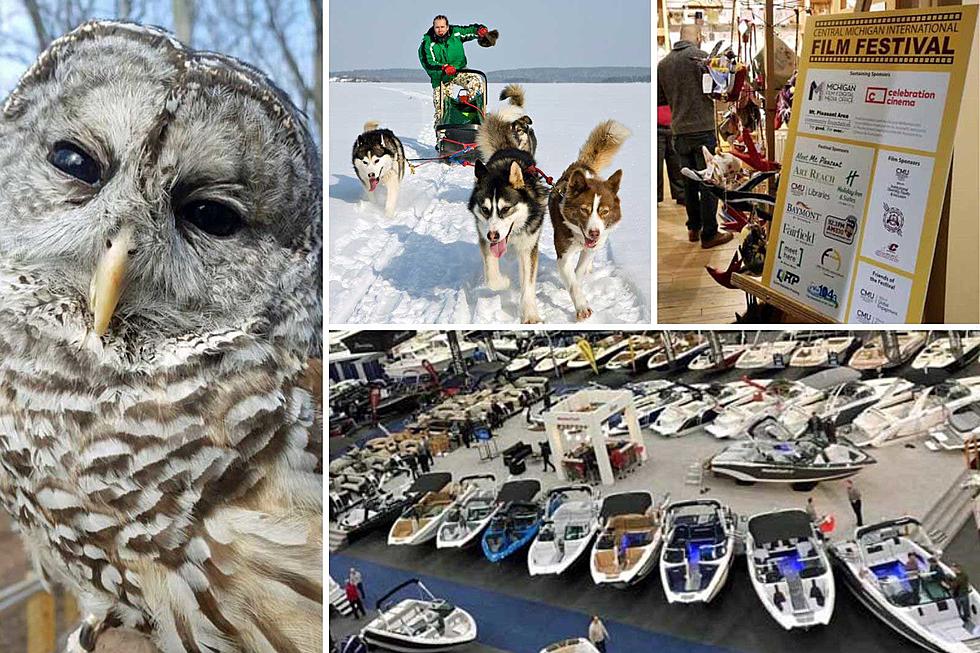 Things To Do in West Michigan This Weekend: February 17-19, 2023