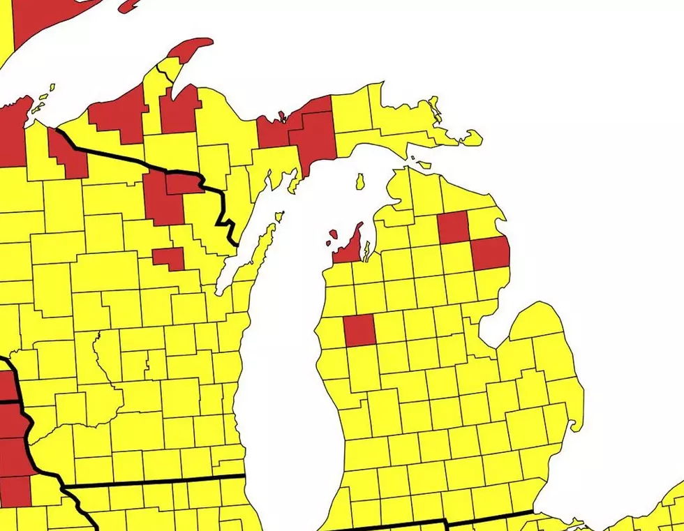 Michigan Counties with no McDonald's