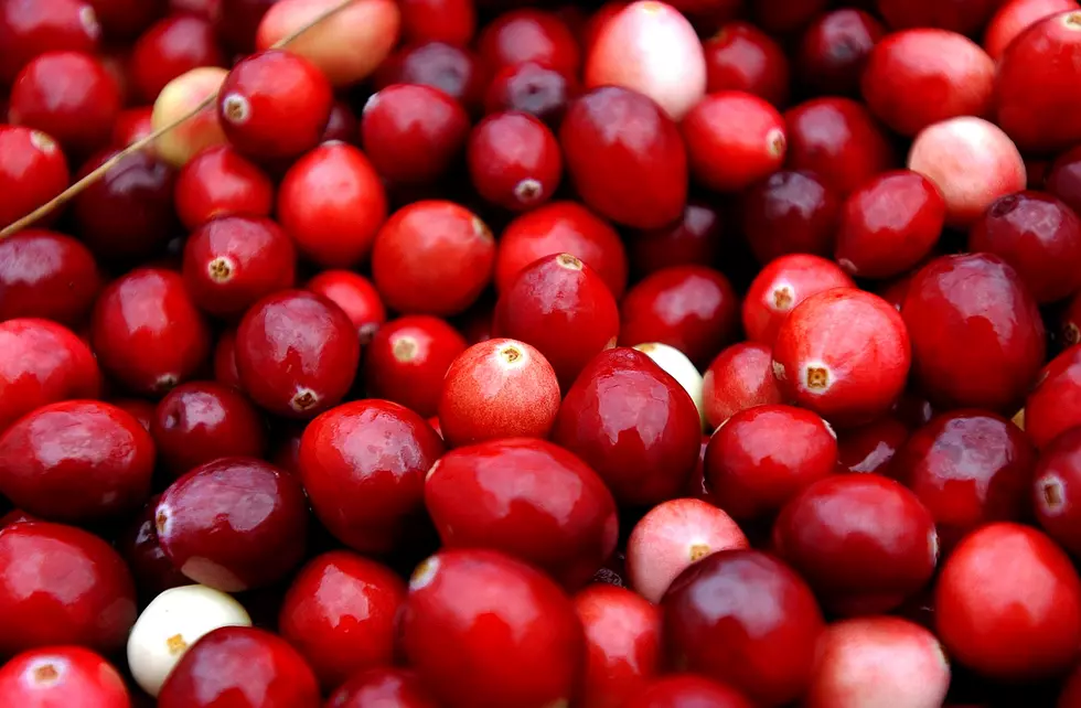 Thanksgiving Recipes #2 &#8211; Cranberries