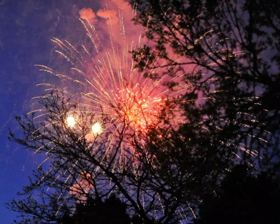 Fireworks Shows 2015