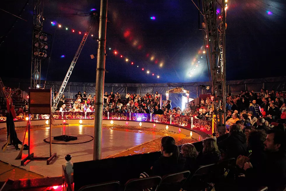 Circus Coming To Town? Not Really
