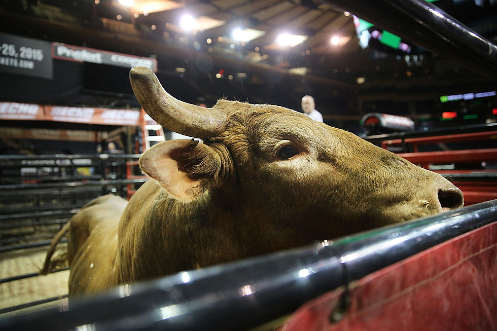 2015 Chase Anderson MDA Memorial Rodeo Back in Palmyra, Missouri