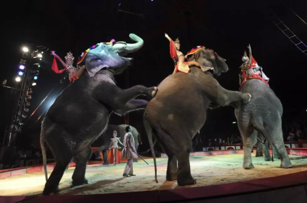 Carson and Barnes Circus Elephants to Get Spa Treatment in Quincy
