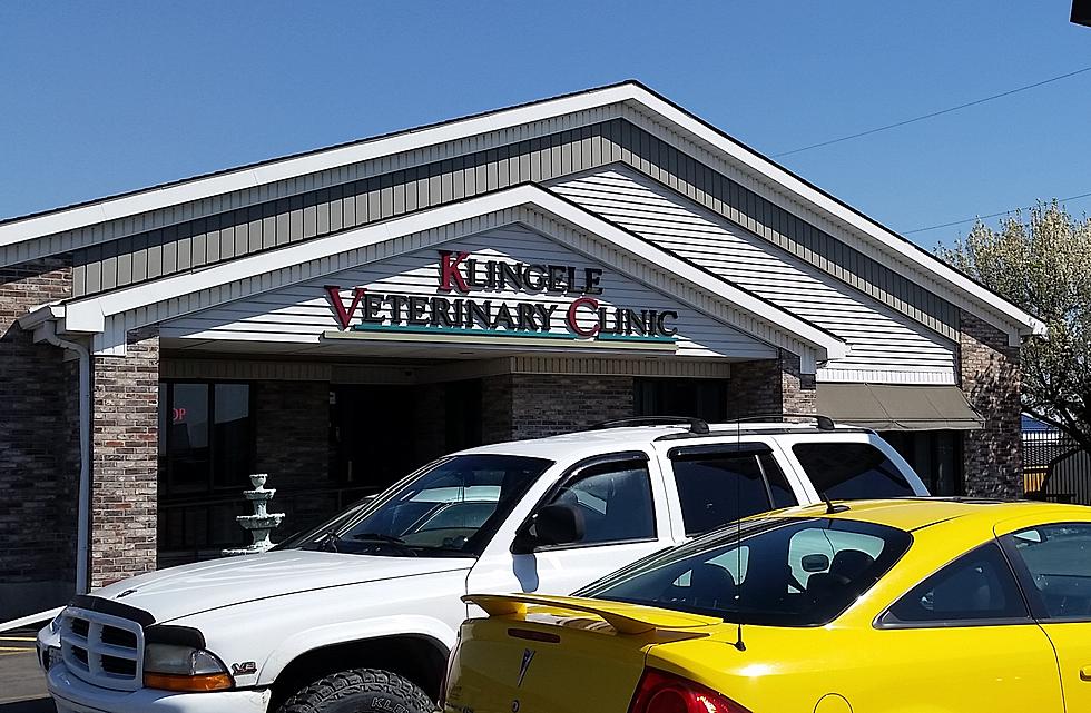 Quincy Animal Clinic Sign is Awesome…Unless You’re a Dinosaur