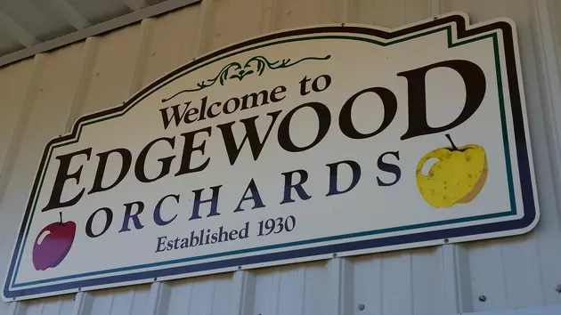 Edgewood Orchards Cider Available October 1