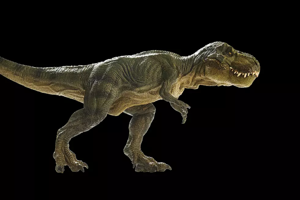 Have You Seen Quincy&#8217;s Hoverboarding T-Rex Yet?