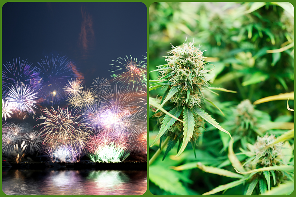 Which Should Be Legal in Illinois First: Fireworks or Cannabis?
