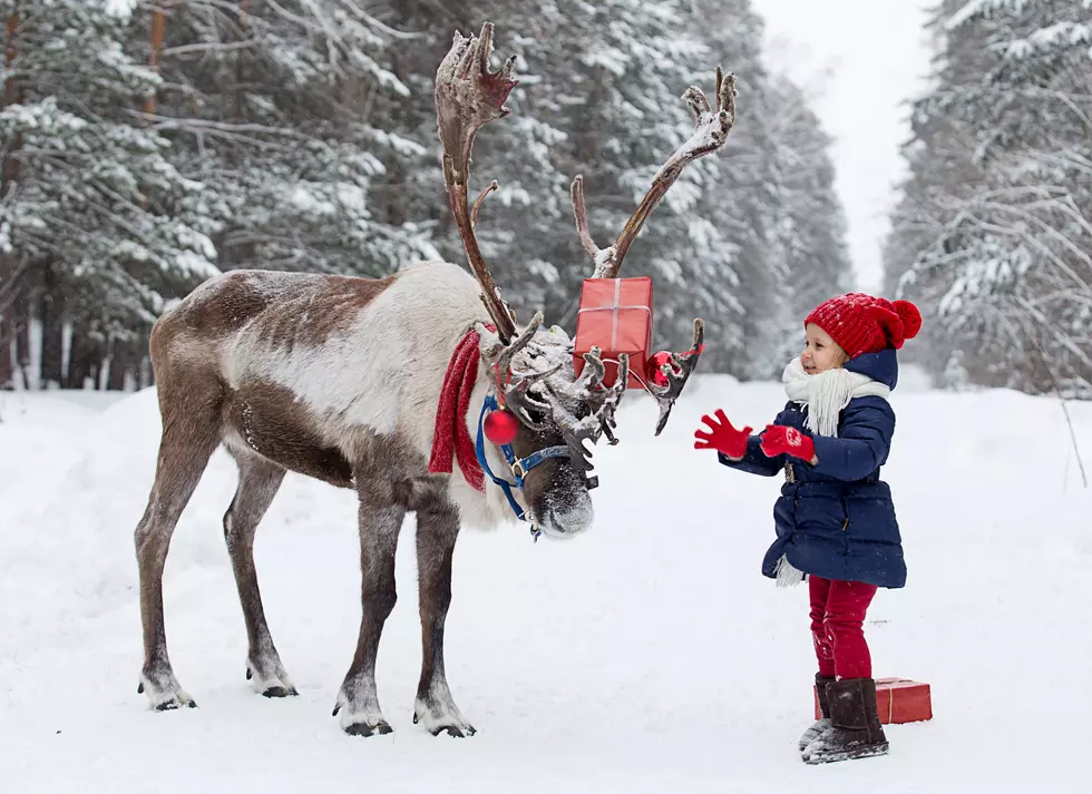 Meet Santa &#038; Live Reindeer at Hy-Vee