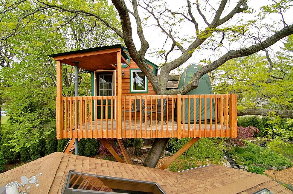 You Can Spend the Night At An Enchanted Garden Treehouse in Illinois