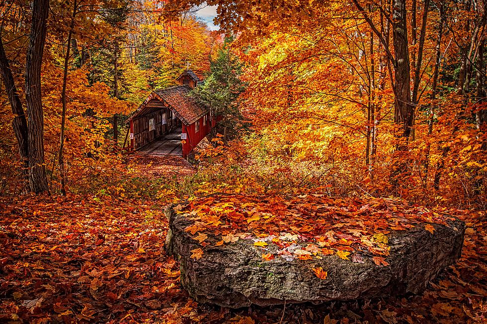 Capture The Perfect Fall Photos By Using This Interactive Fall Foliage Map