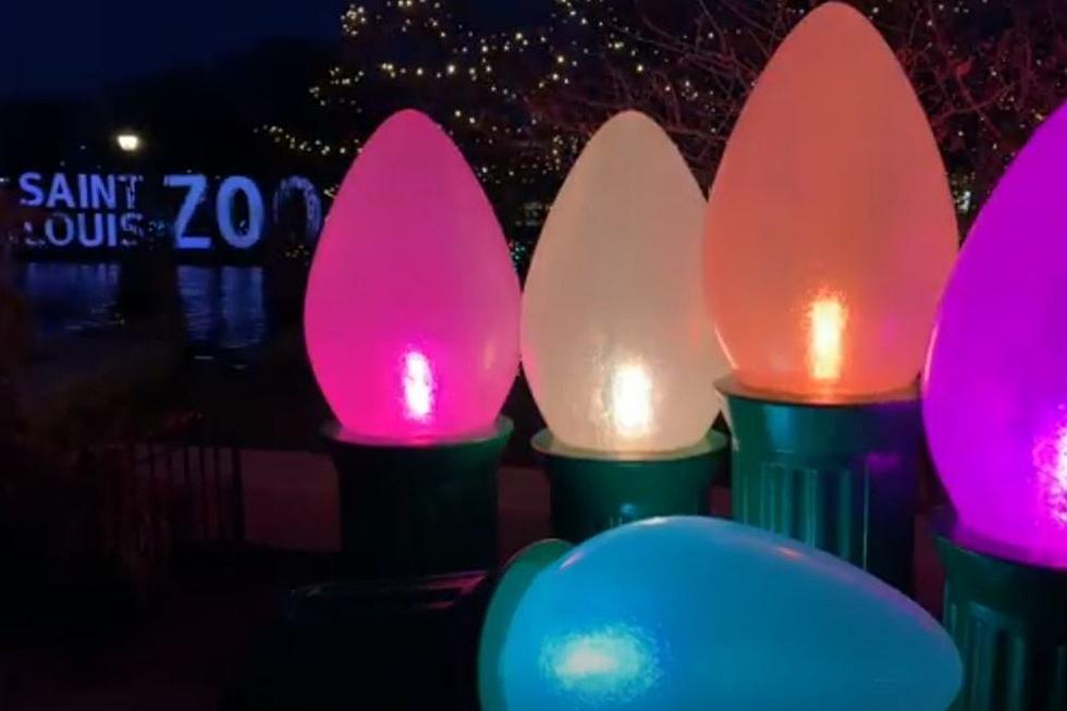 Missouri Zoo Goes WILD with Lights This Holiday