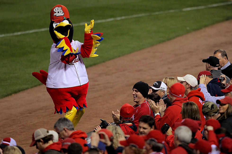 The St. Louis Cardinals mascot, Fredbird, as seen during a MLB game News  Photo - Getty Images