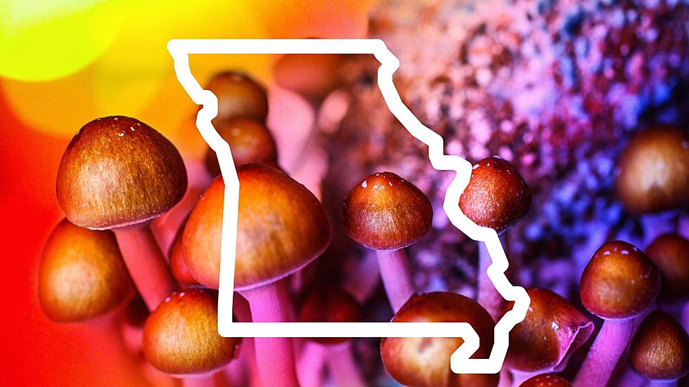 Missouri lawmaker pitches legalizing psychedelic drugs