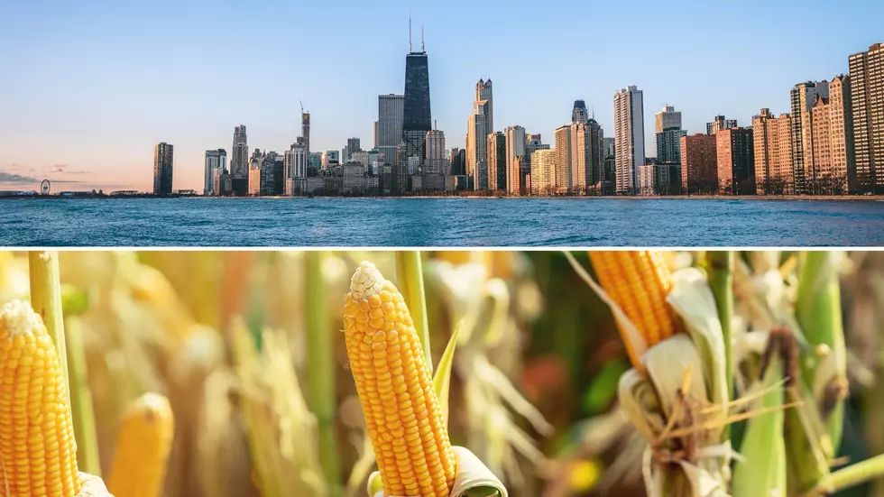 A Website proves Illinois is more than just Chicago and Corn