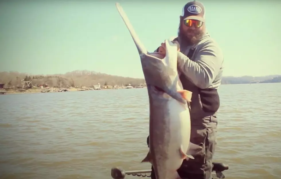 Video of a fisher’s massive catch here in the state of Missouri