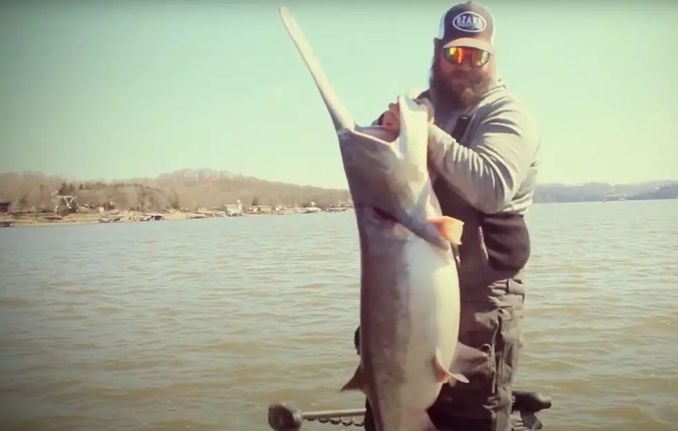 Video of a fisher's massive catch here in Missouri