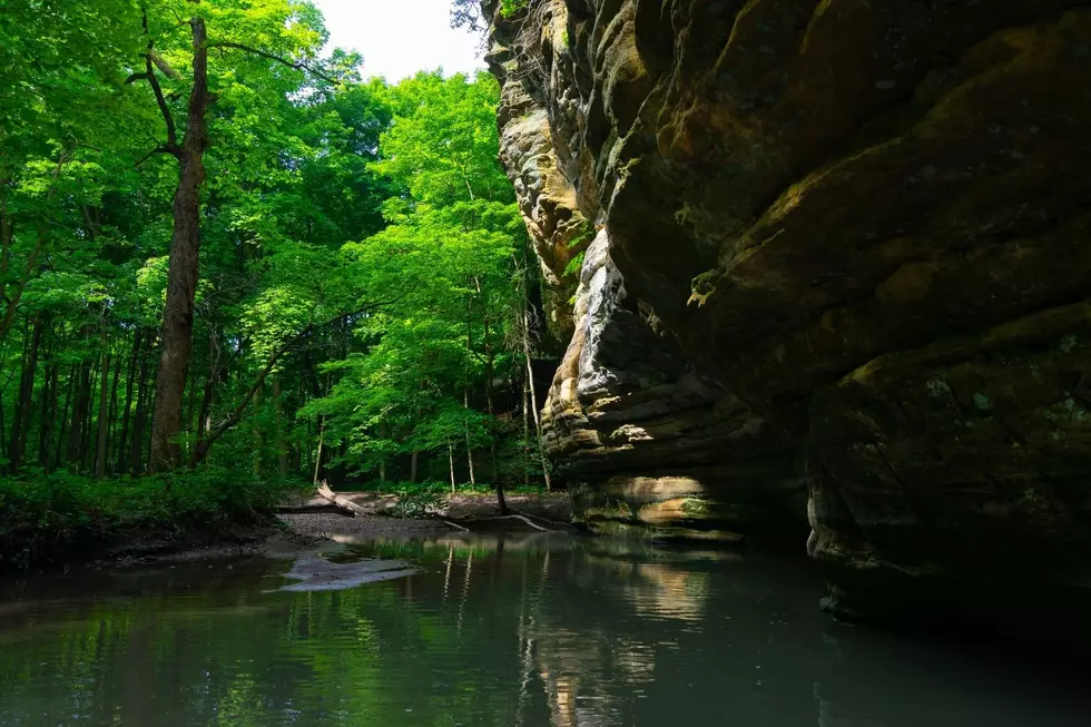 Cool Off This Summer in The Best Swimming Holes in Illinois