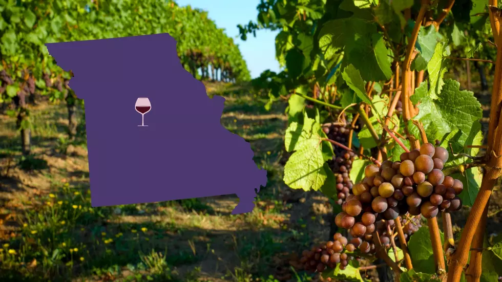 The Best Vineyard in Missouri is right in the middle of the State