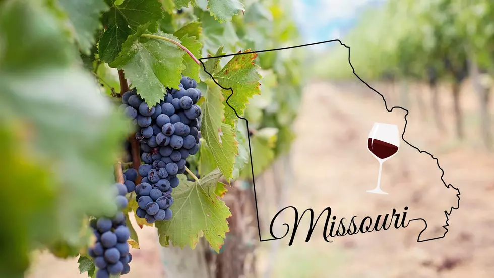 A rural Missouri area is ranked as a Top 10 Wine Region in the US
