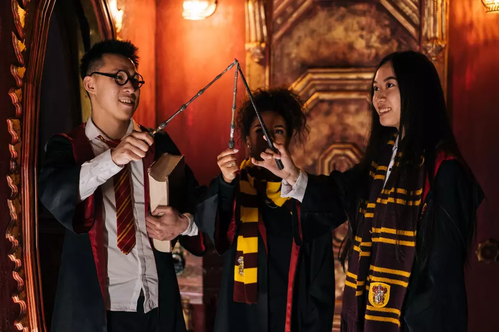 The Magical World of Harry Potter is Coming to Illinois This Fall