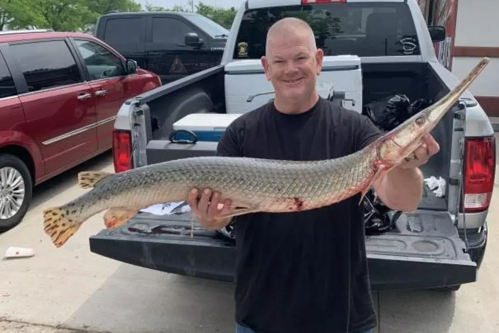 Nice Catch! Man Sets Record for Catching Shortnose Gar in MO Lake