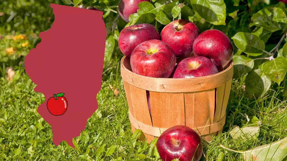 An Apple Fest in Illinois was named Most Fantastic in the Midwest