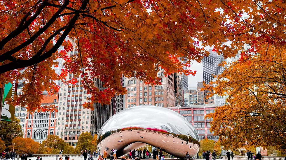 A Website says Chicago is one of the Best Places for a Fall Vacay