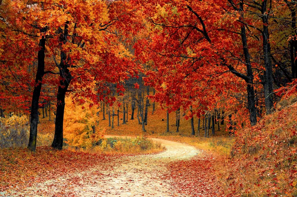 These Are Some of the Best Places in Illinois To See Fall Colors