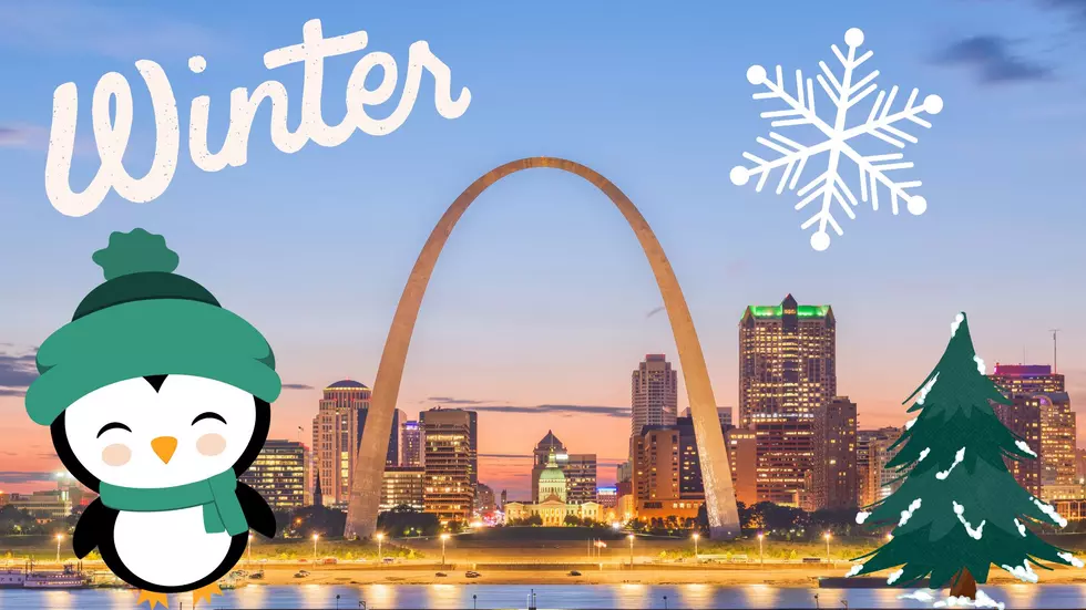 Don't Miss Out on Winterfest in Downtown St. Louis