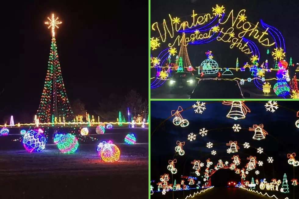 Festival of Lights to Light Up Moorman Park This Holiday Season