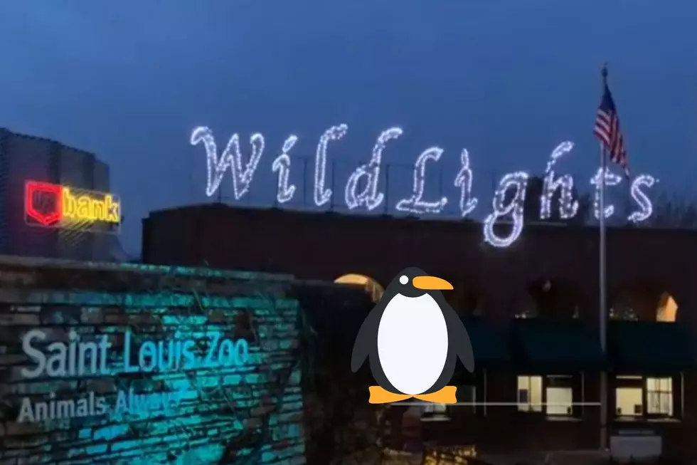 St. Louis Zoo Goes Wild for Lights For The Holiday Season