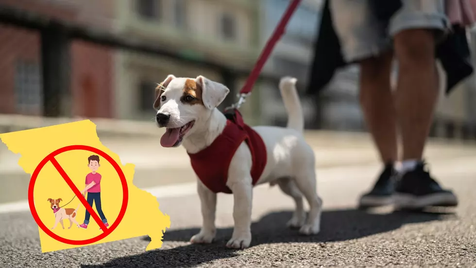 A city in Missouri ranks as one of the 10 Worst to Walk your Dog