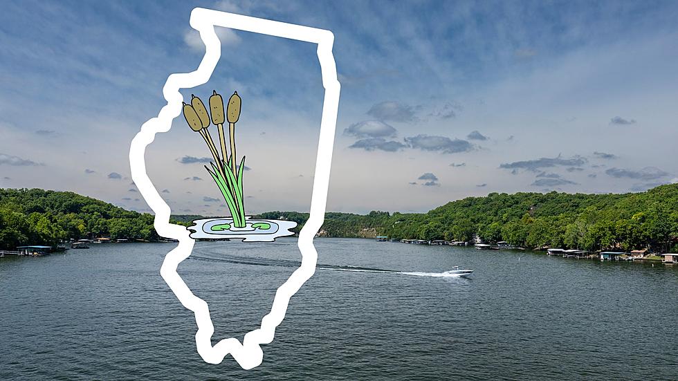 Multiple Illinois Towns make the List of Best Small Lake Towns 