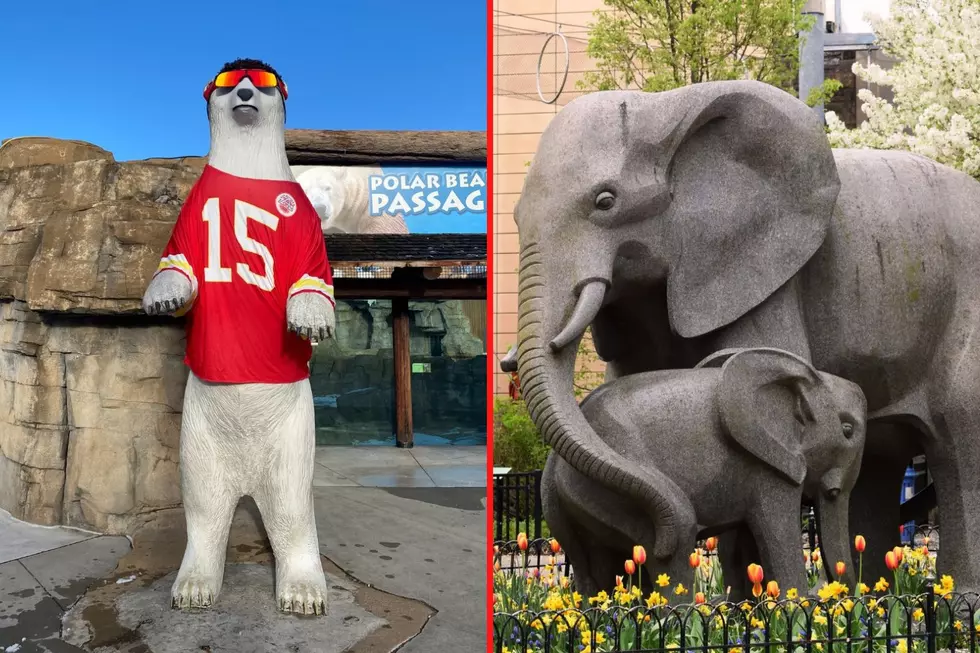 KC Zoo Makes A Little Wager with Philly Zoo Before The Big Game