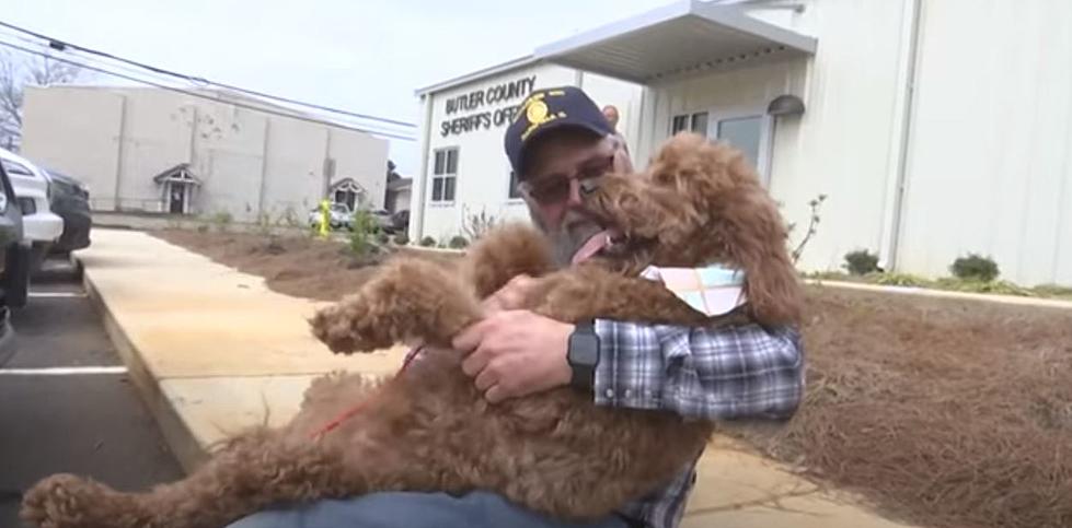 710 Miles Later Illinois Couple Reunited with Stolen Dog