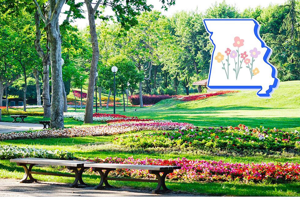 Missouri&#8217;s Botanical Garden Named Best in the U.S.