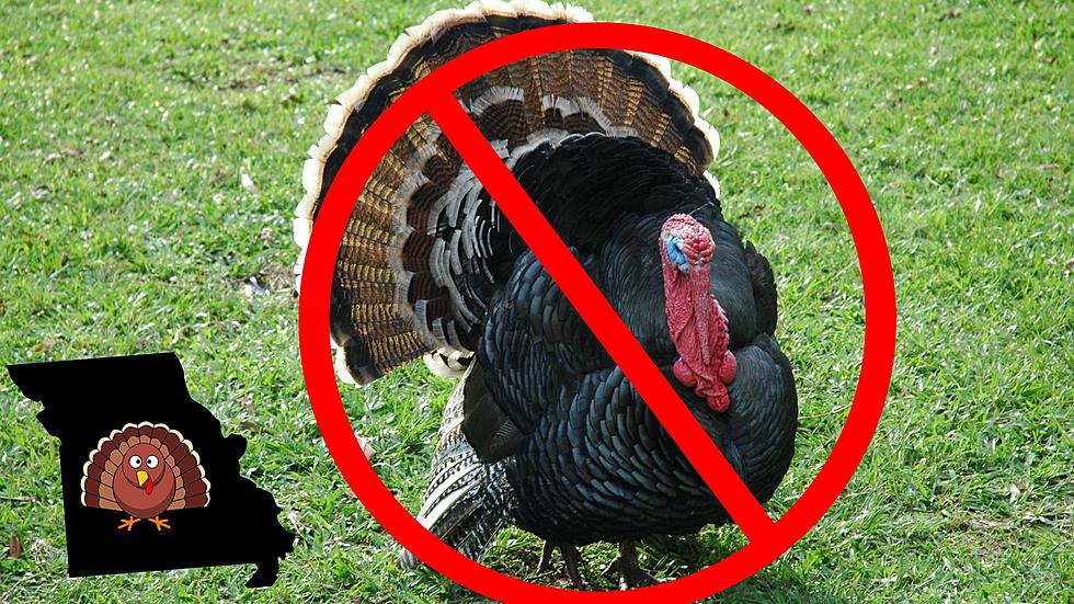 Bad News, Fall Turkey Hunting in Missouri could be Canceled 