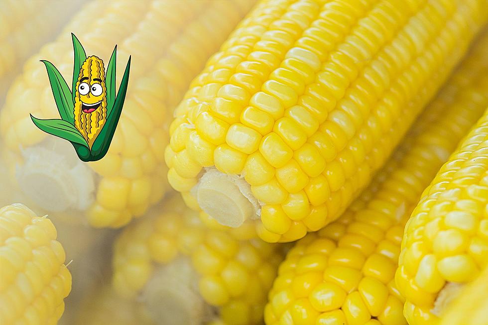 It’s Corn! Yummy Corn-Themed Fest in Illinois is Free to Attend