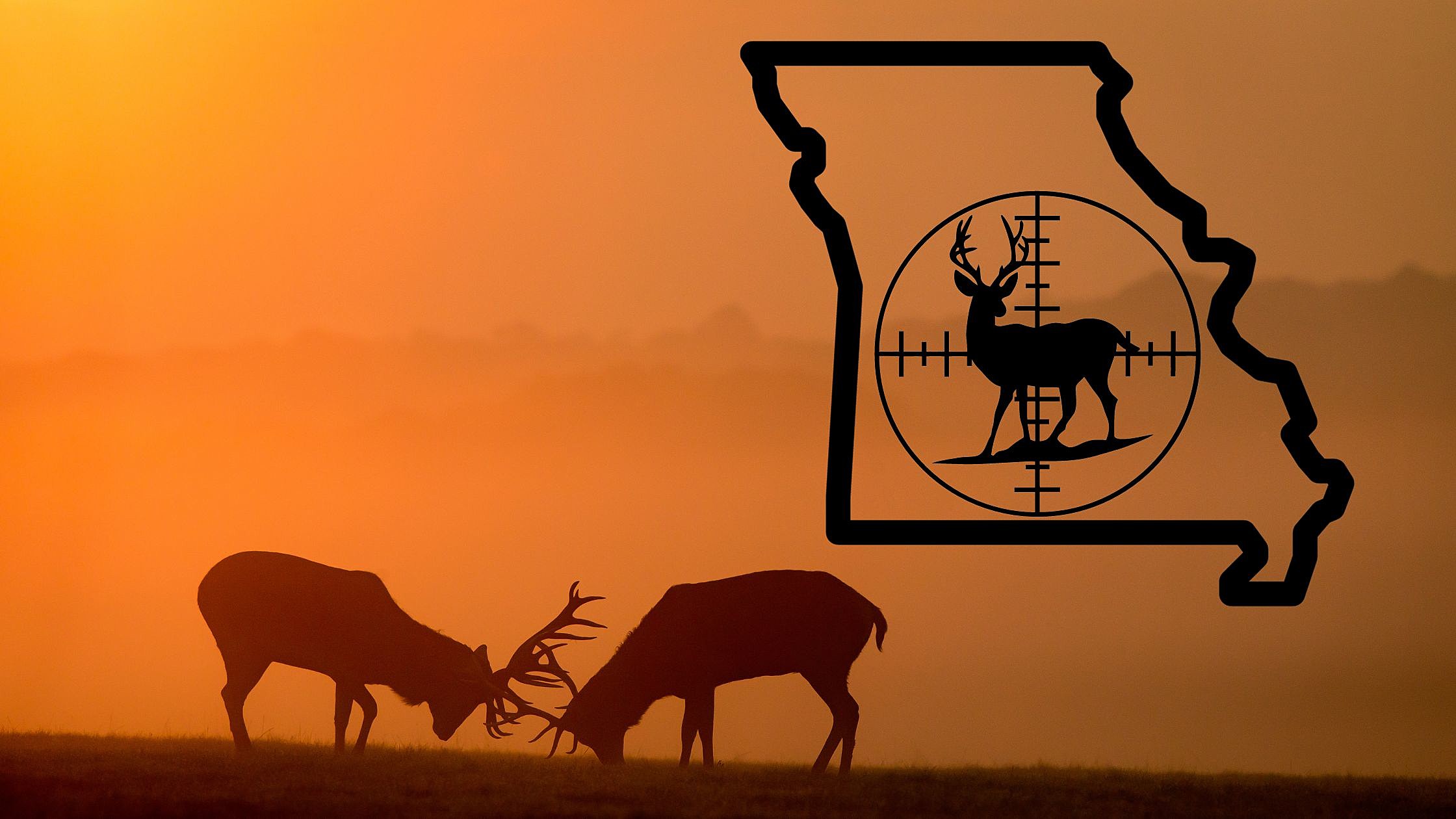 Anyone go bow fishing?  Missouri Whitetails - Your Missouri Hunting  Resource