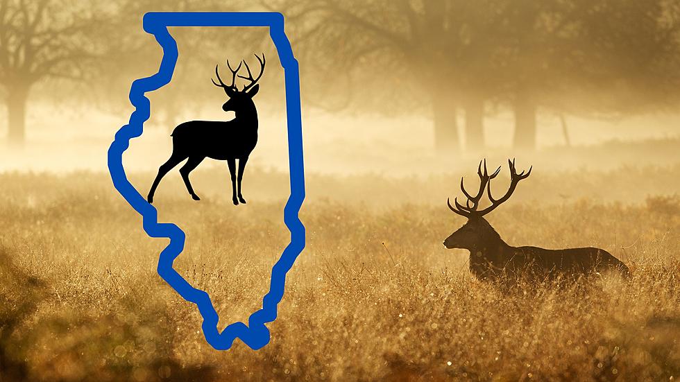 Which County in Illinois has Hunted the Most Deer so far?