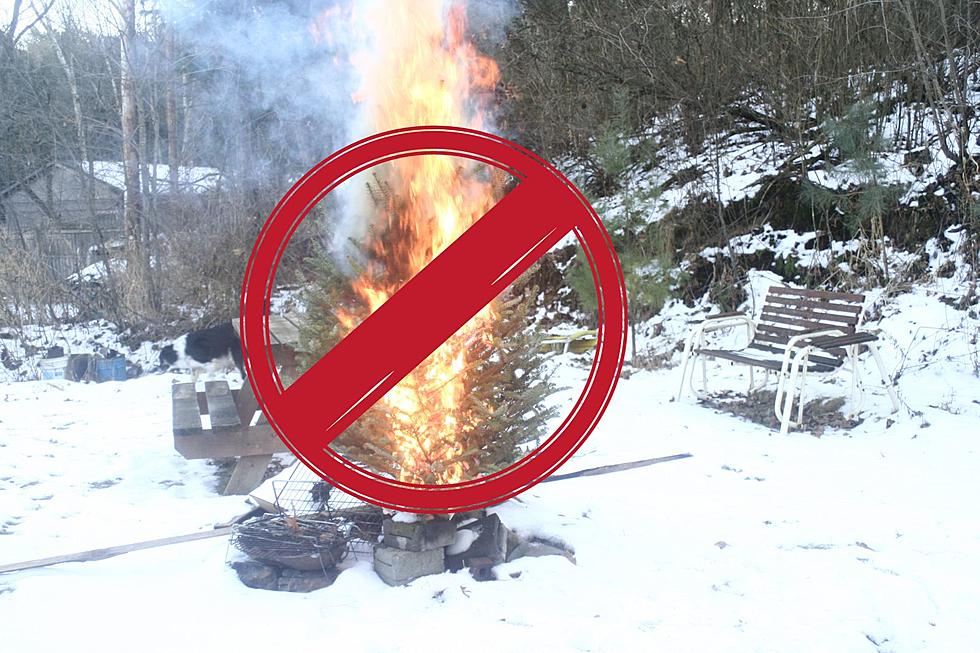 Is It Legal To Burn Your Christmas Tree in Missouri? Sort Of