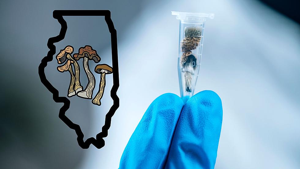 A New Law could make "Magic Mushrooms" legal in Illinois 