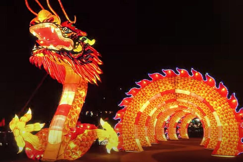St. Louis Zoo to Host Lantern Fest with Thousands of LED Lights