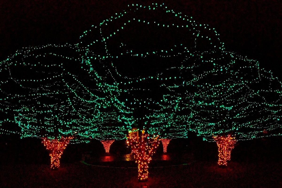 Top Christmas Light Displays in Missouri to See This Holiday