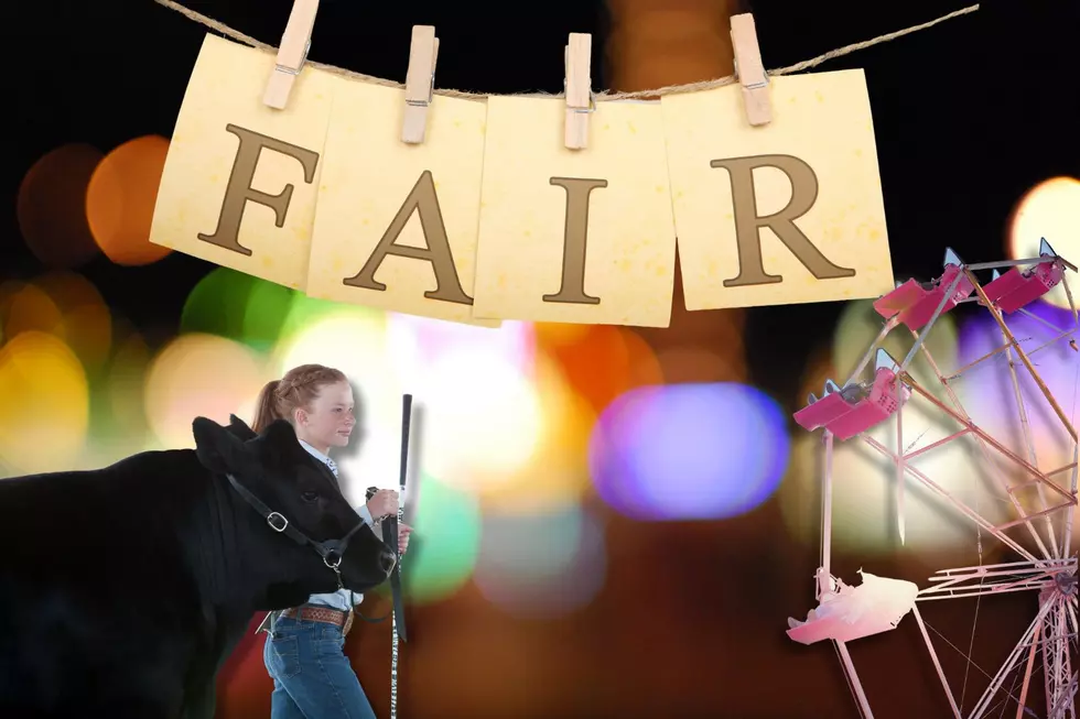 Adams County Fair Returns With Music, Rides, Rodeo & Family Fun