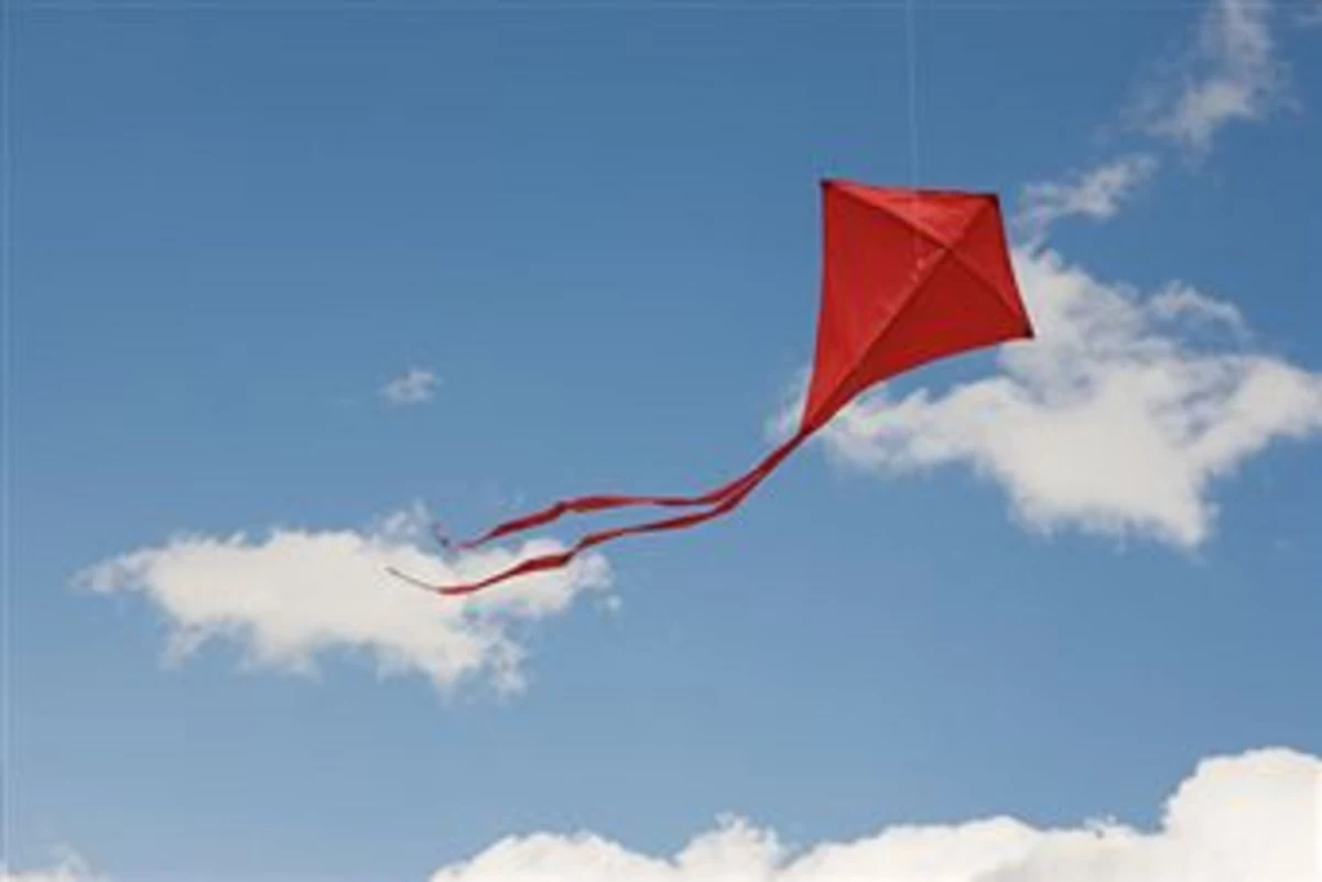 Go Fly a Kite