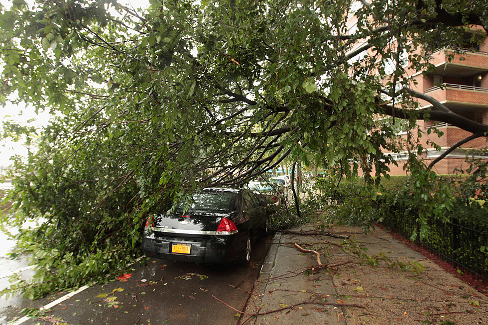 Area Goes Through a Crazy Weather Week