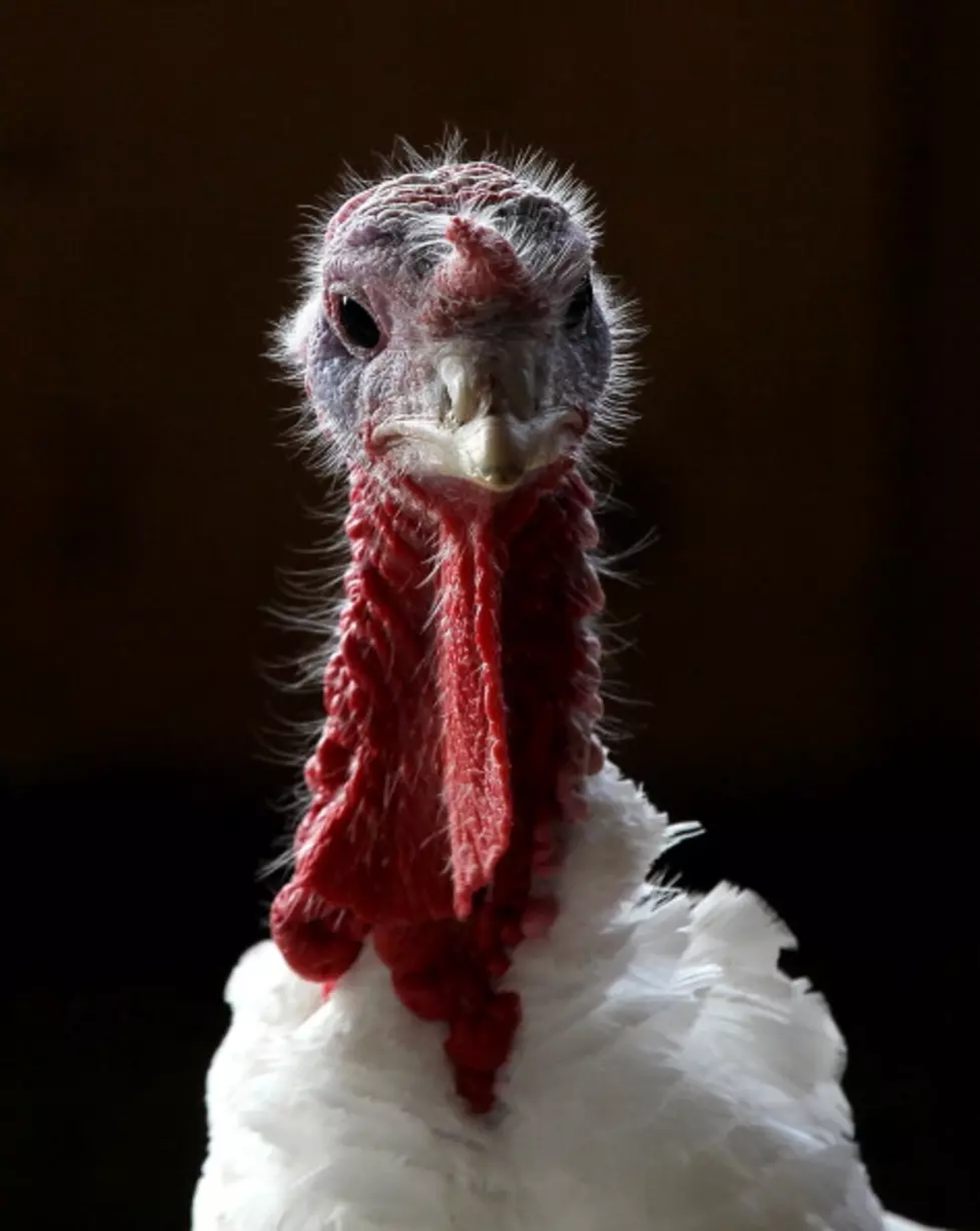 The Turkey is Coming!
