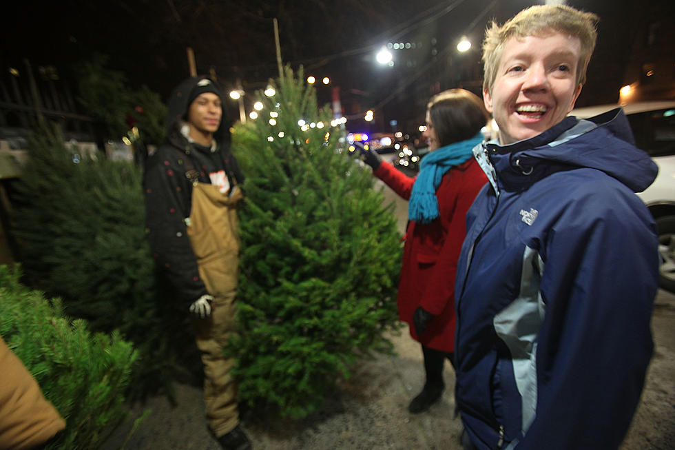People Stories &#8211; December 12: Christmas Trees for Sale