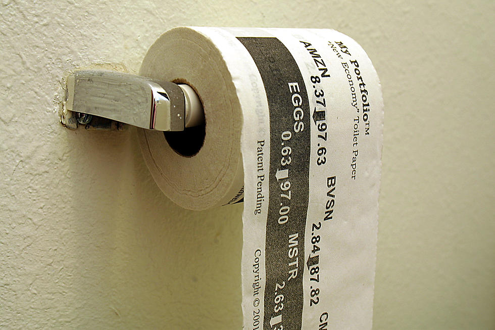 How Do You Hang Your Toilet Paper? [VOTE]